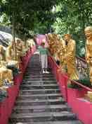 HongKong mei 2008 245.jpg